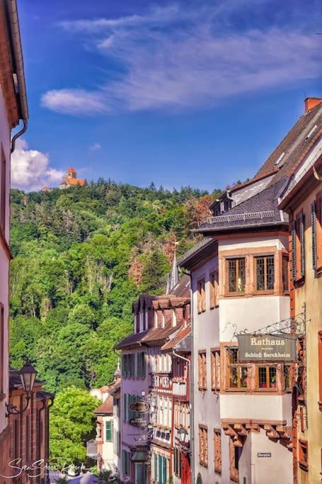 Ferienwohnung Zwischen Weinheim Und Hemsbach Exterior foto